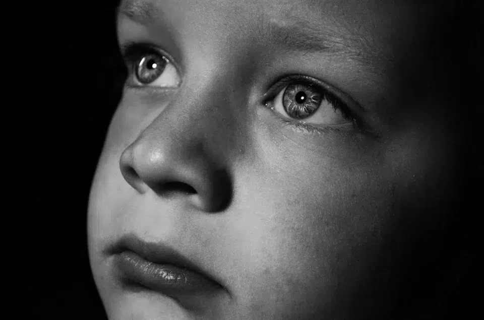 Las Heridas De La Infancia: Guía Del Trauma Y Su Huella